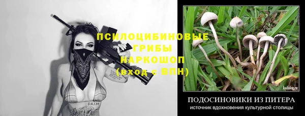 прущие крисы Балахна