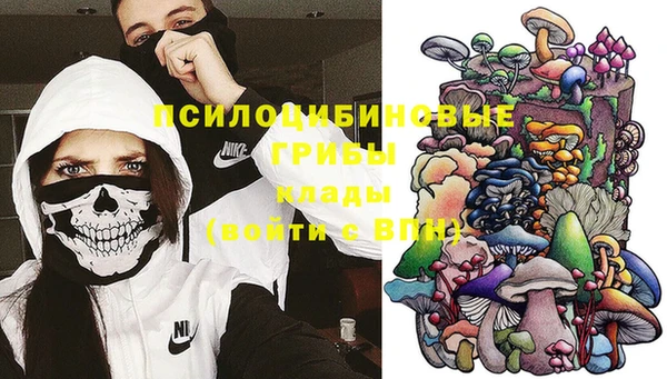 прущие крисы Балахна