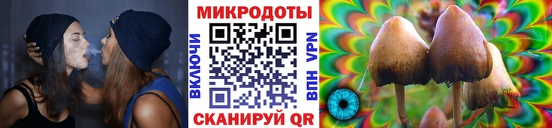 площадка какой сайт  Никольск  Псилоцибиновые грибы Magic Shrooms  закладка 